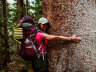THERM-A-REST  Z  Lite™