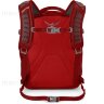 Рюкзак детский Osprey Pogo 24